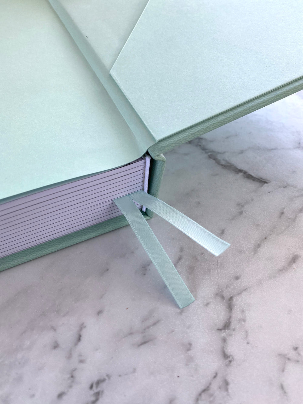 A5 DAILY PLANNER - SAGE