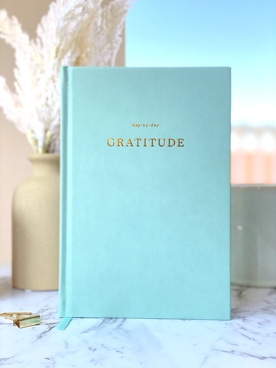 GRATITUDE JOURNAL - SAGE