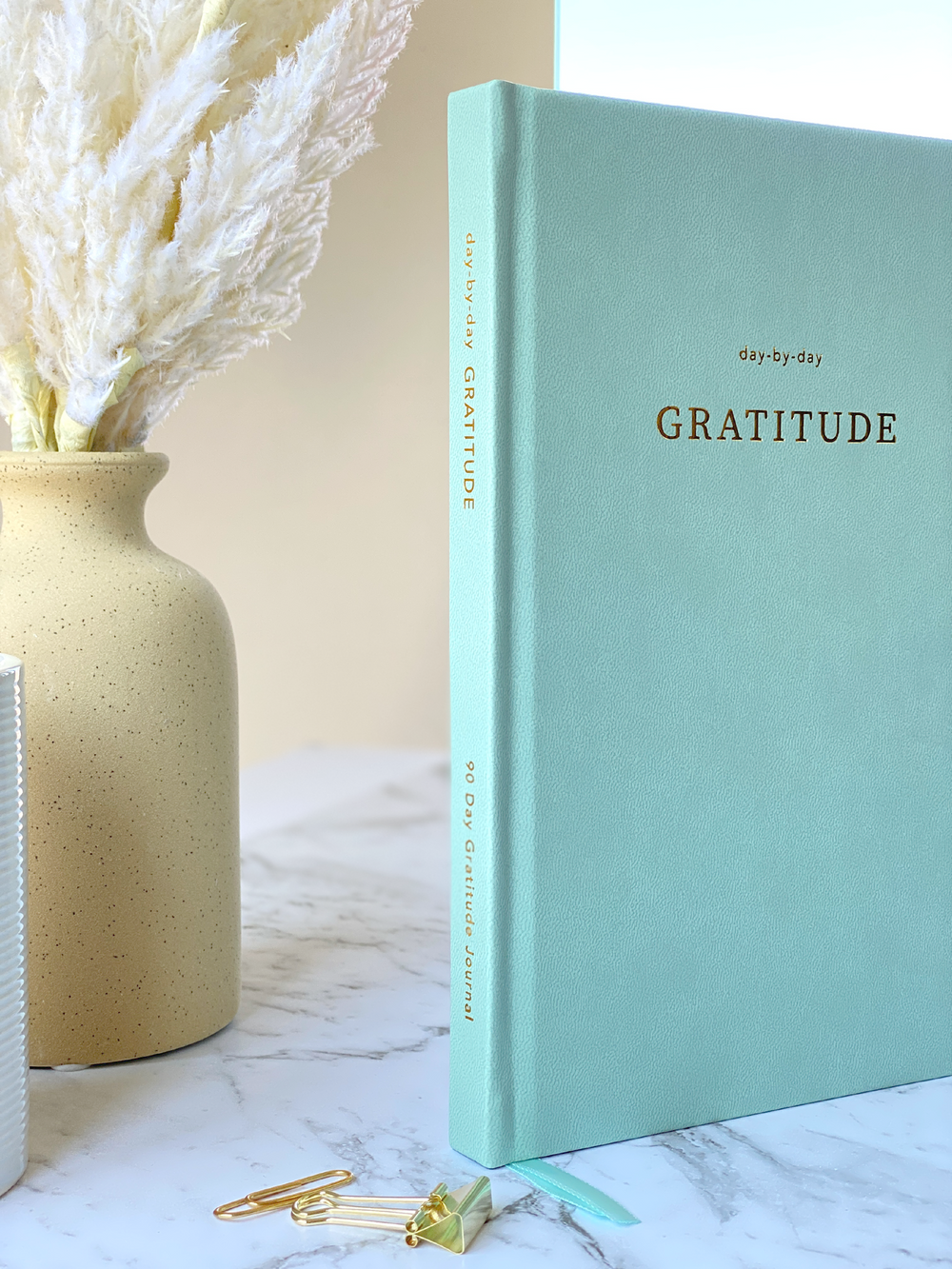 GRATITUDE JOURNAL - SAGE