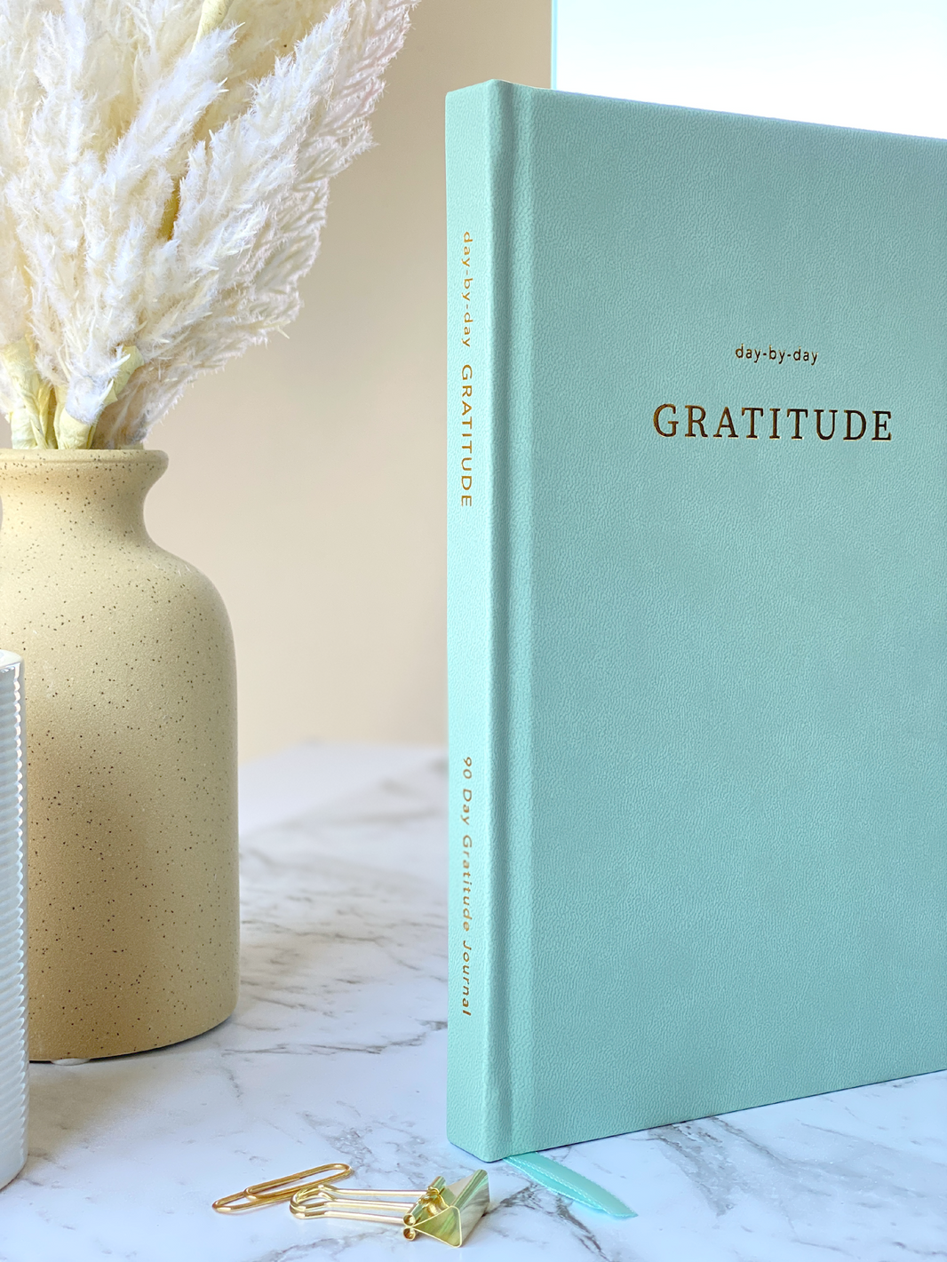 image GRATITUDE JOURNAL - SAGE