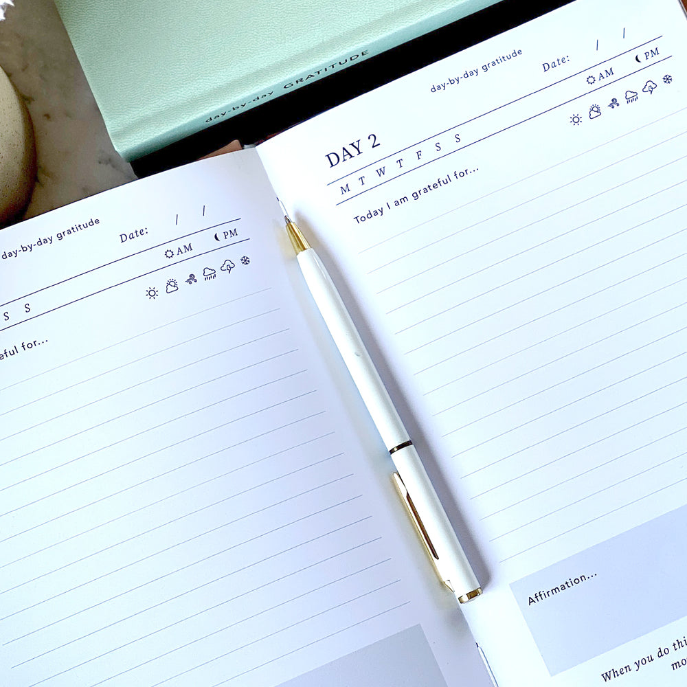 GRATITUDE JOURNAL – DUSTY PINK