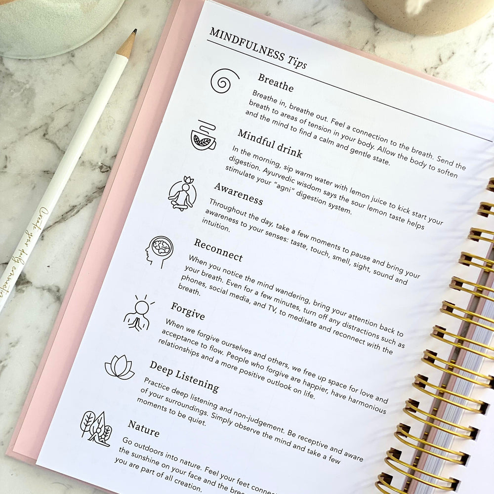 2026 SPIRAL WEEKLY Planner Diary (WEEK-TO-VIEW) BLUSH PINK