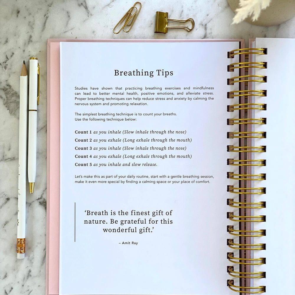 2026 SPIRAL WEEKLY Planner Diary (WEEK-TO-VIEW) BLUSH PINK