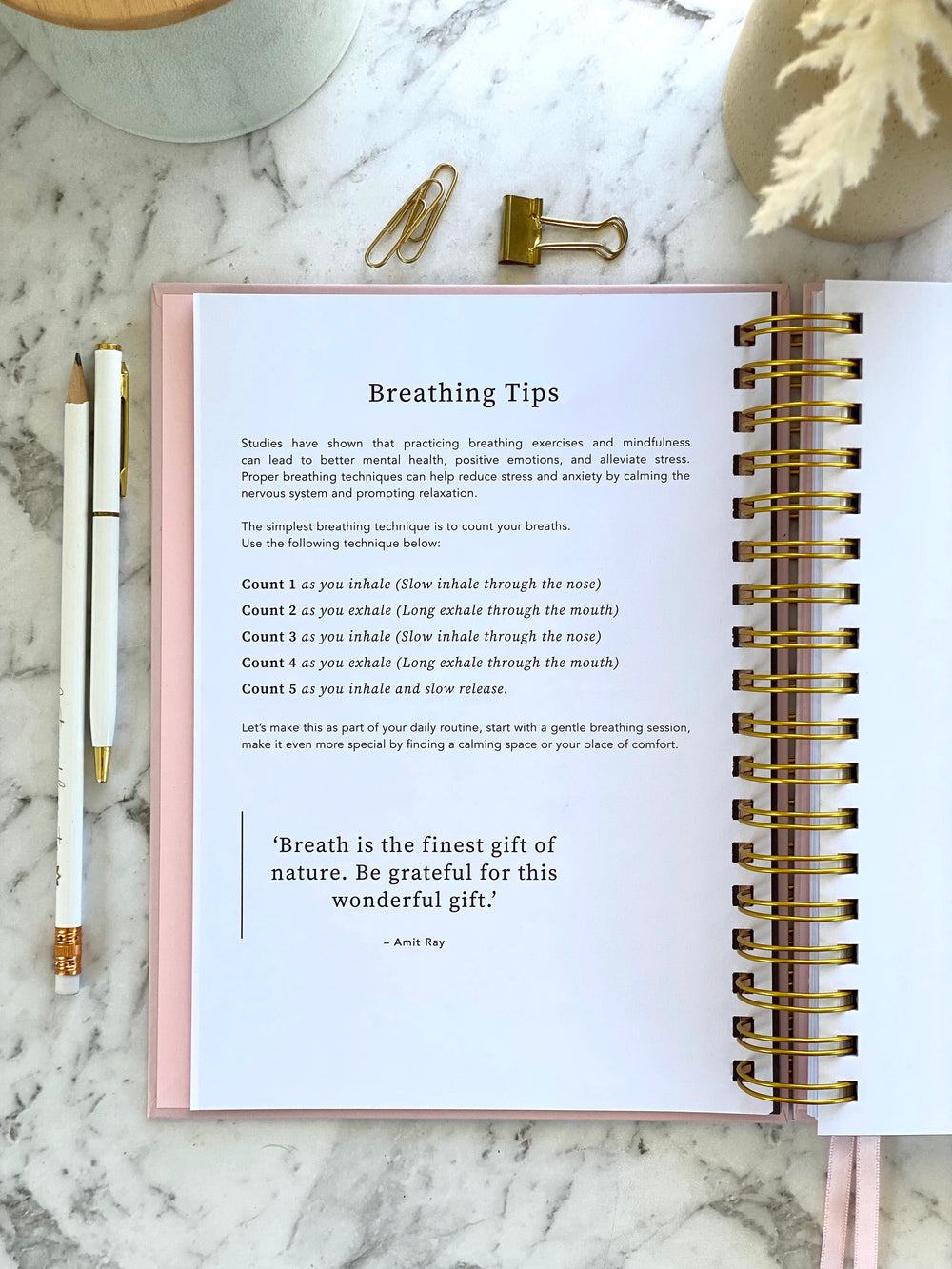 2026 SPIRAL WEEKLY Planner Diary (WEEK-TO-VIEW) BLUSH PINK