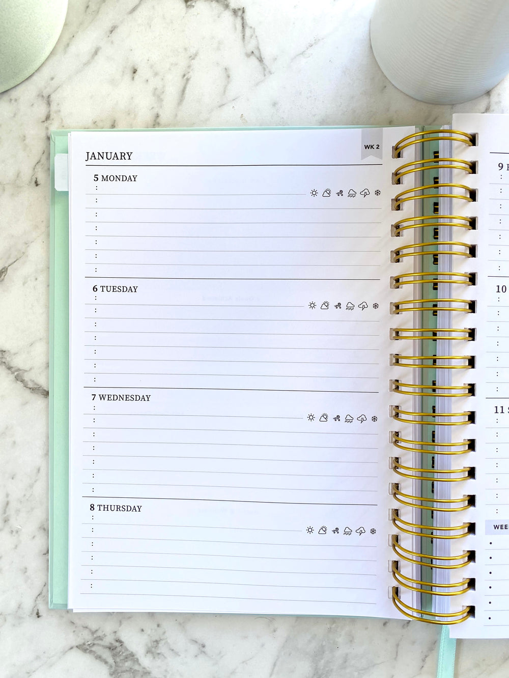 2026 SPIRAL WEEKLY Planner Diary (WEEK-TO-VIEW) BLUSH SAGE