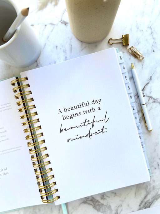 2026 SPIRAL WEEKLY Planner Diary (WEEK-TO-VIEW) BLUSH SAGE